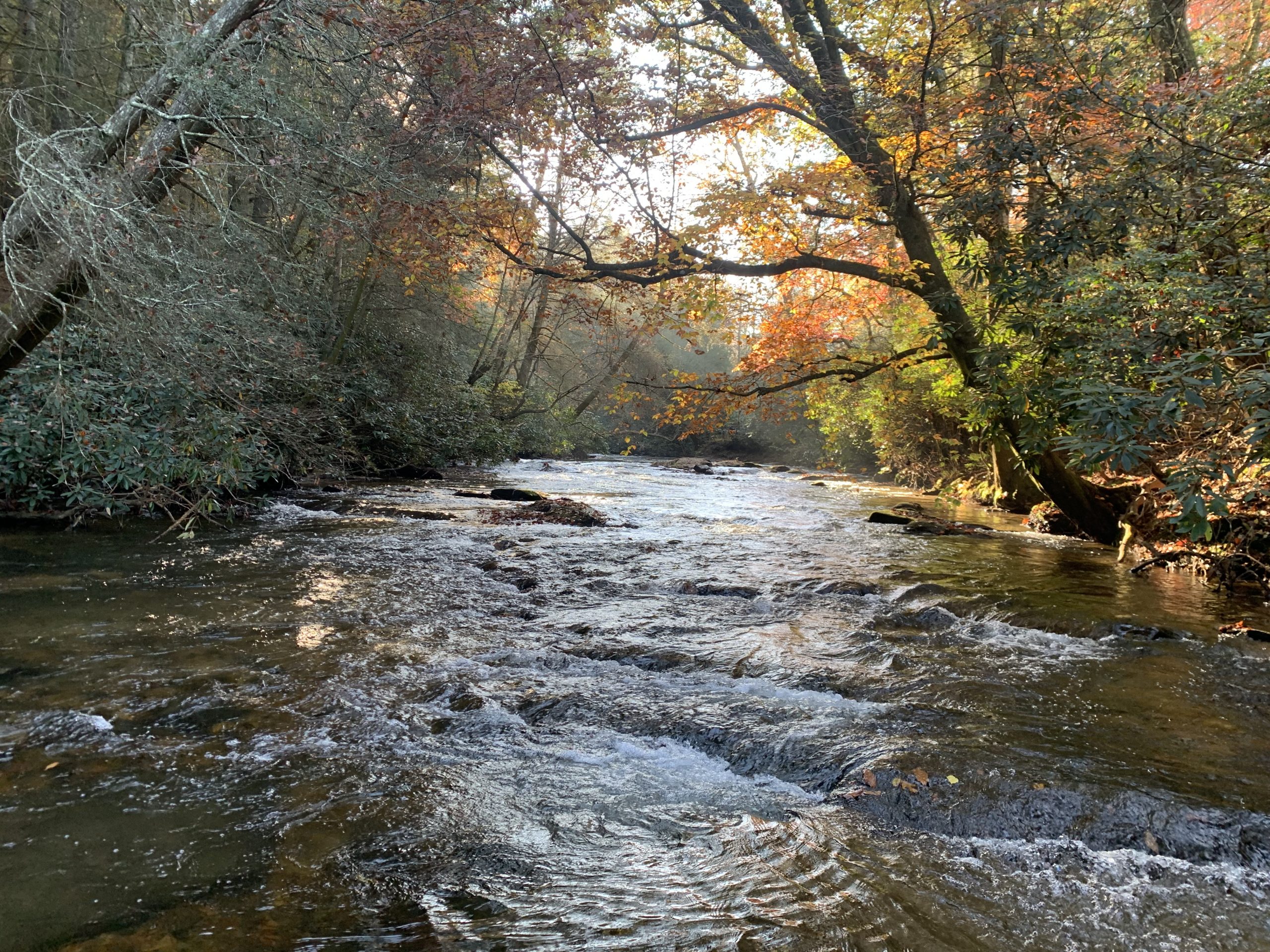 Guided Fly Fishing - Noontootla Creek Farms