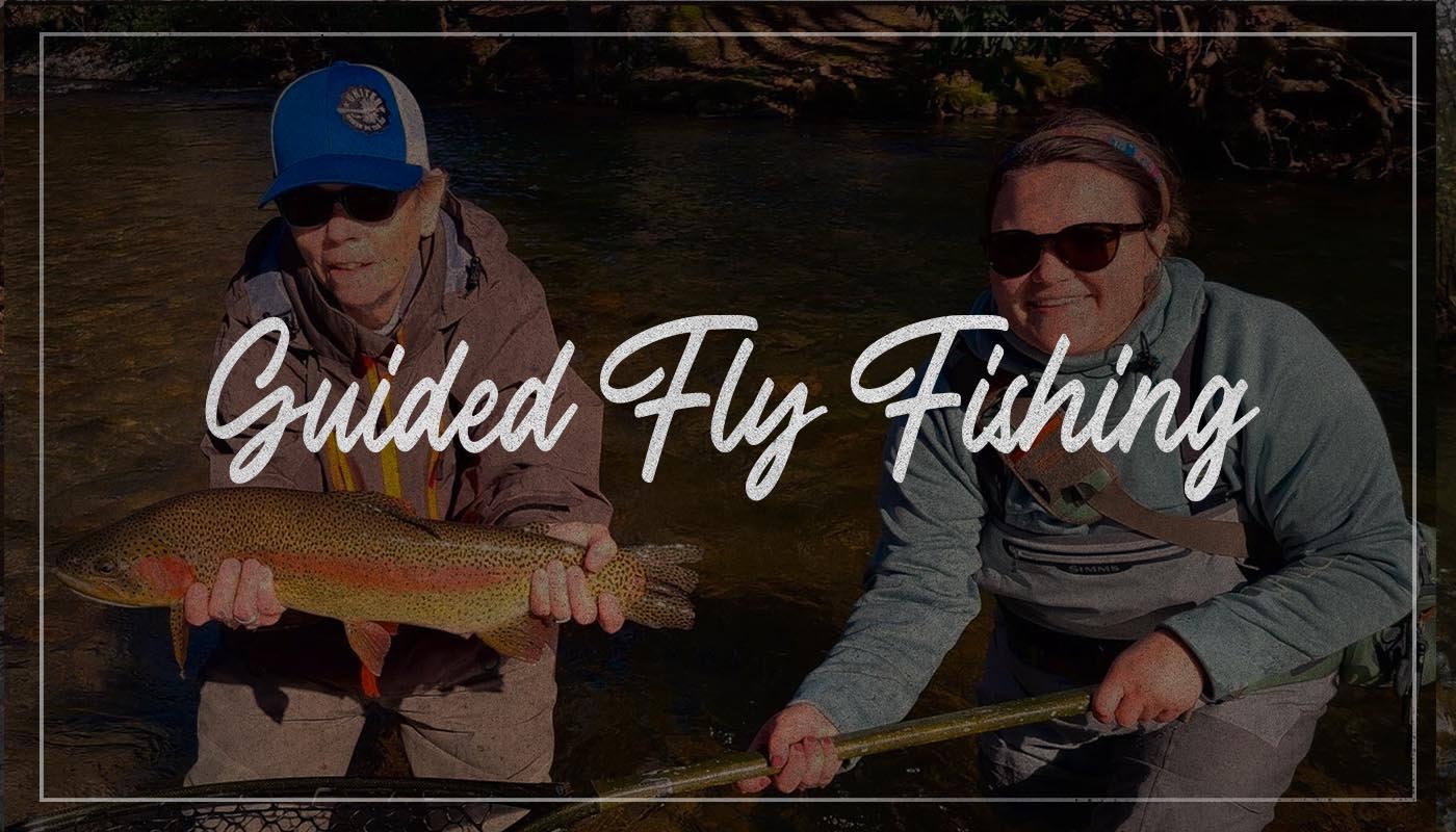 Blue Ridge Fly Fishing School, Blue Ridge GA