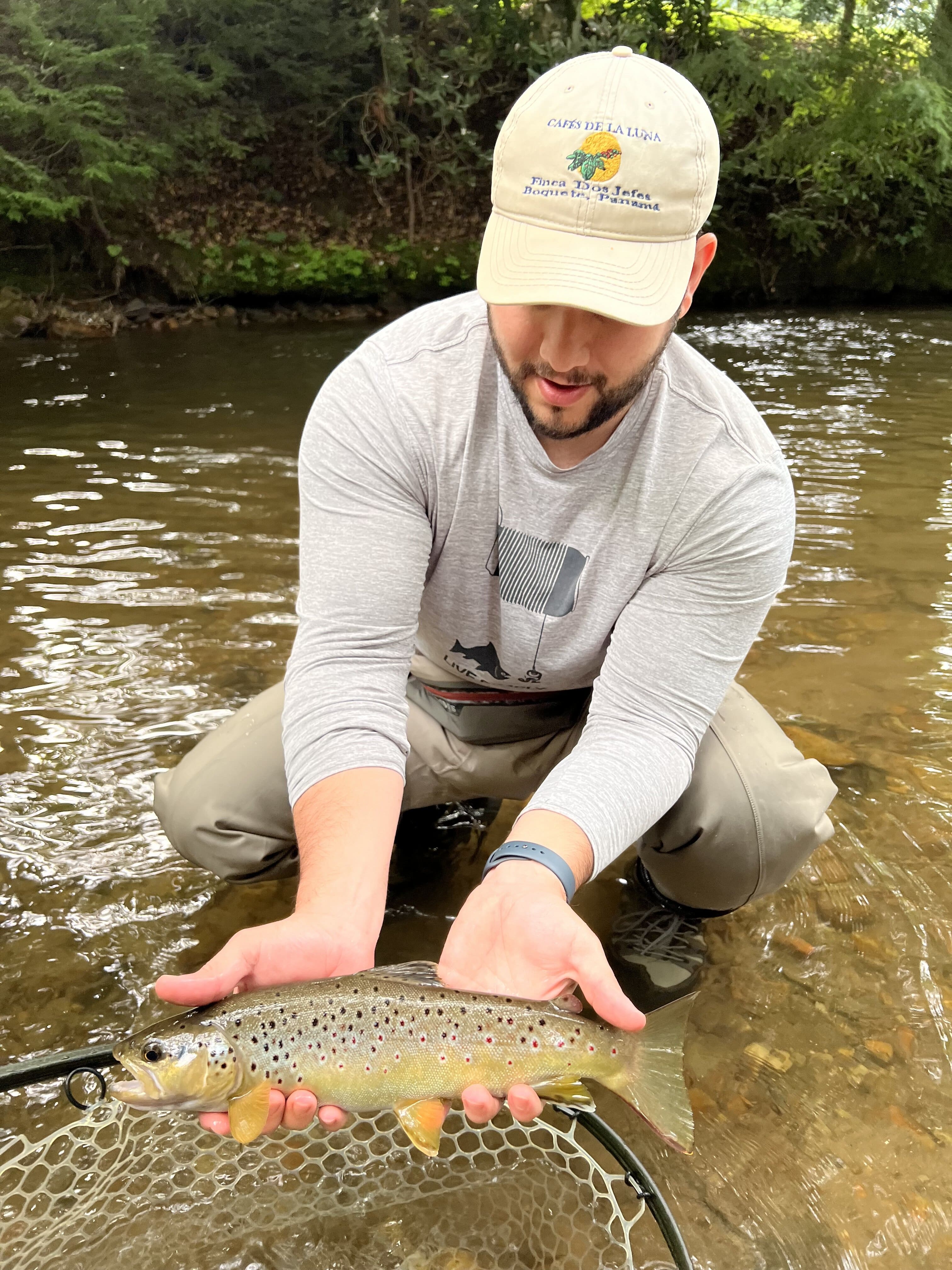 Trout & Water Temperatures - When To Fish & When…