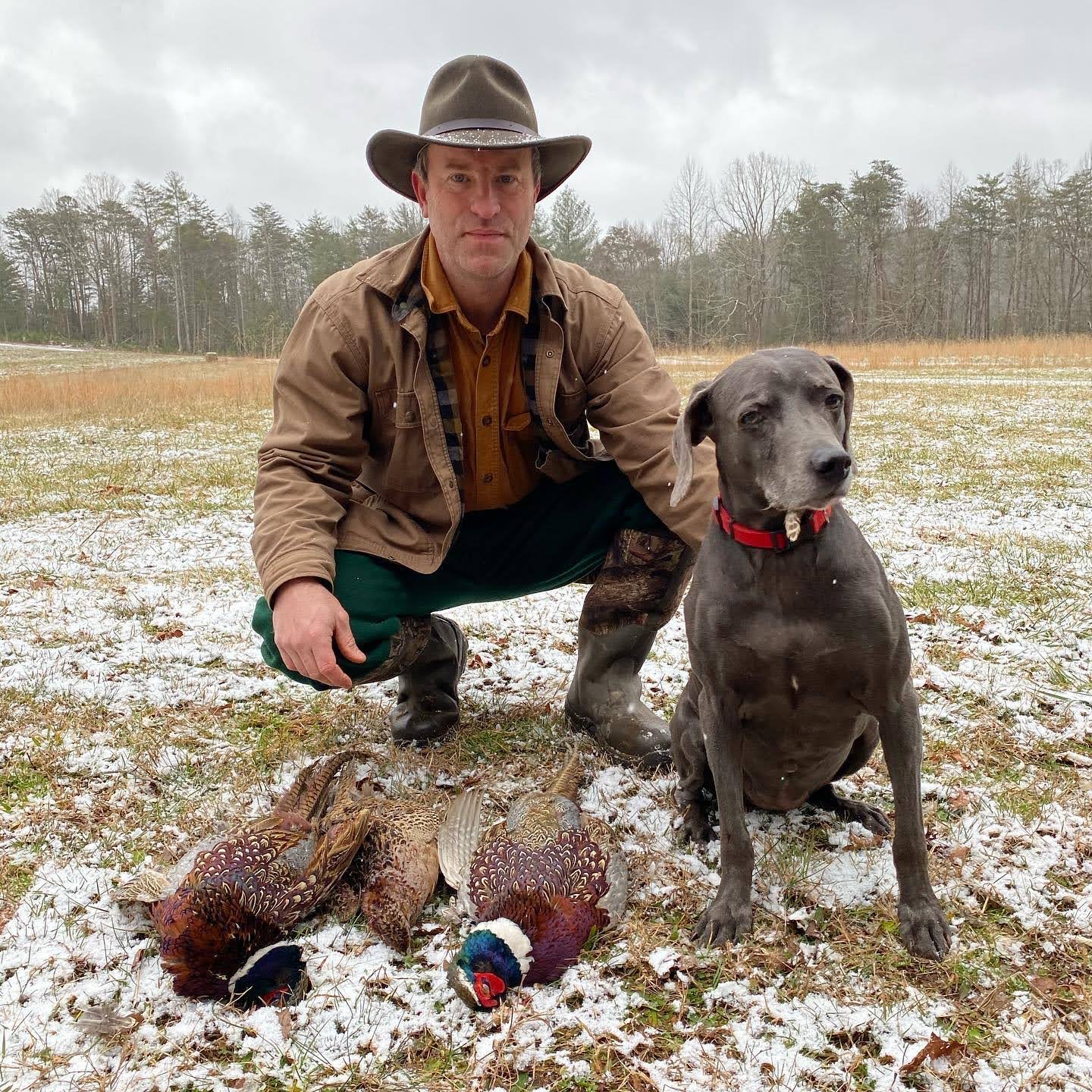 Quail Hunting Season in North Georgia: Experience the Thrill at Noontootla Creek Farms